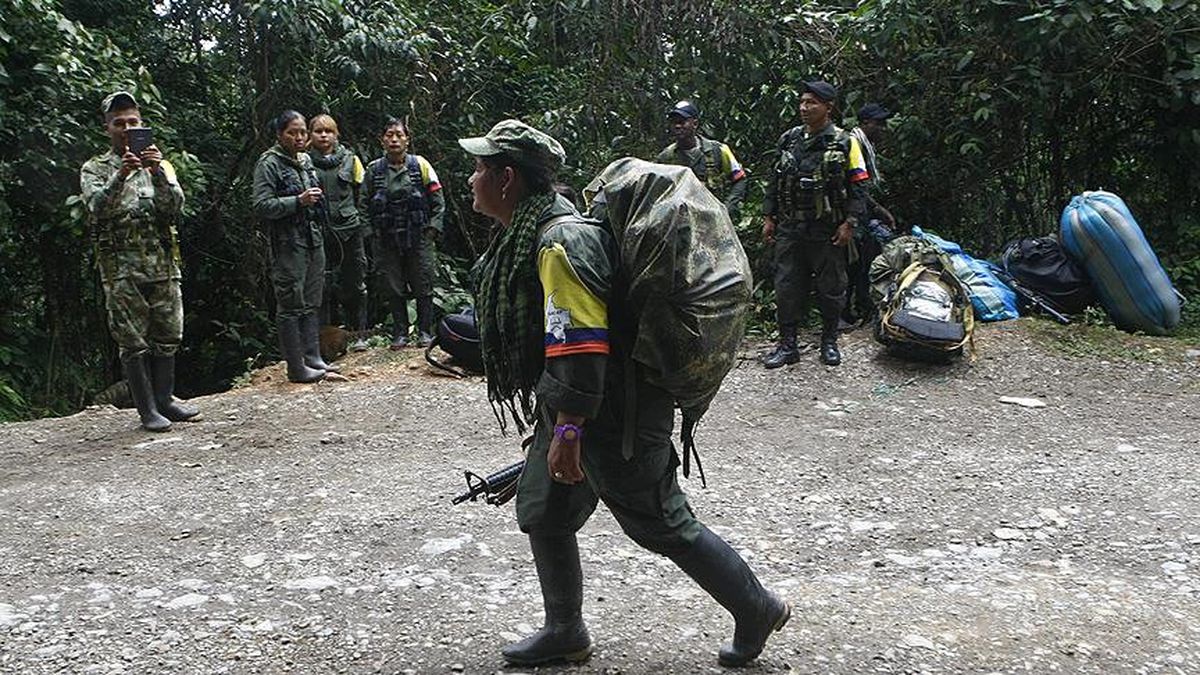 Farc\'ın Silahsızlandırılması Süreci