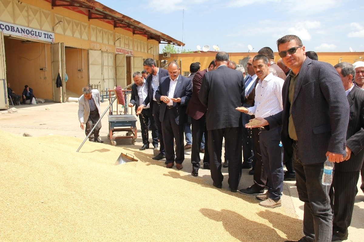 Gaziantepli Hububatçılardan Güneydoğu Gezisi