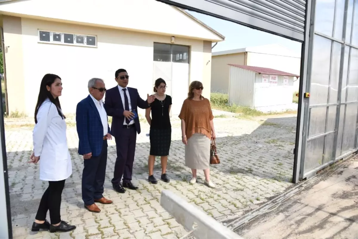 Genel Müdür Coşkun\'dan Çevreci Yatırıma İnceleme