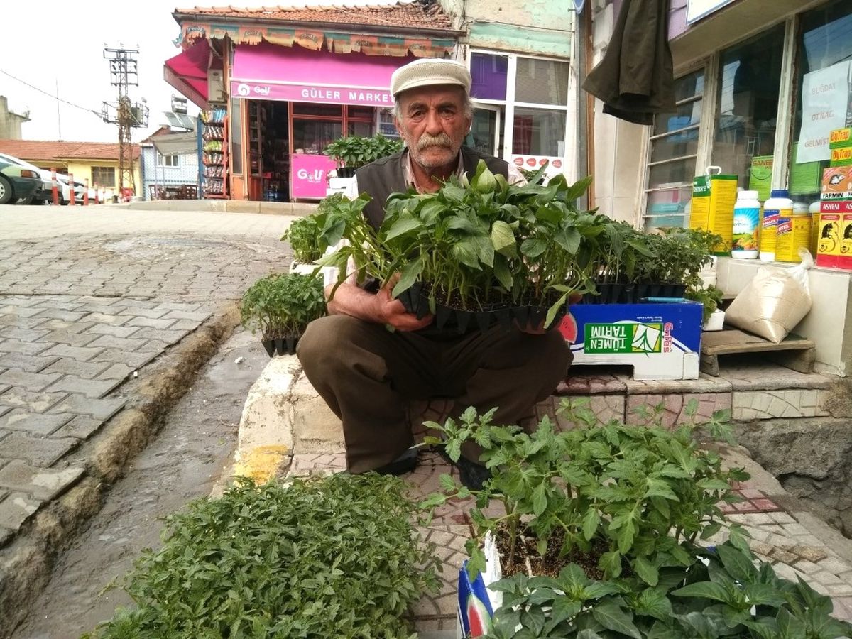Hisarcık\'ta Sebze Fidesi Satışları Arttı