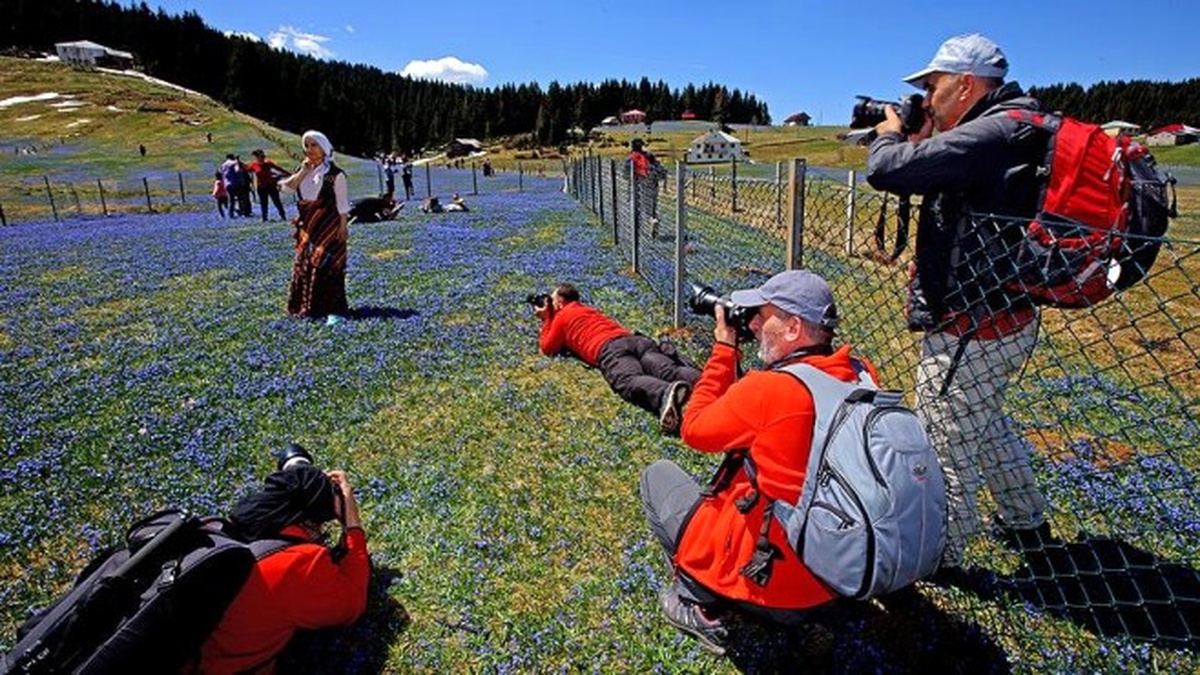 Karadeniz\'in Baharı Fotoğrafçıları Büyülüyor
