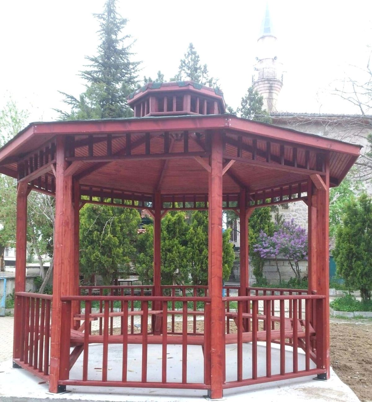 Kütahya\'da 9 Köye Kamelya