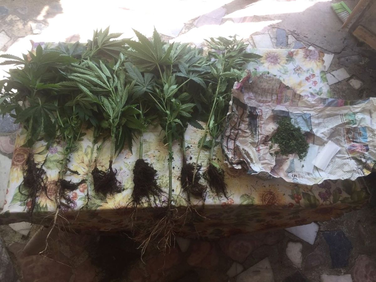Marmaris Jandarmasından Sezon Başlangıcı Uyuşturucu Tacirlerine Gözdağı