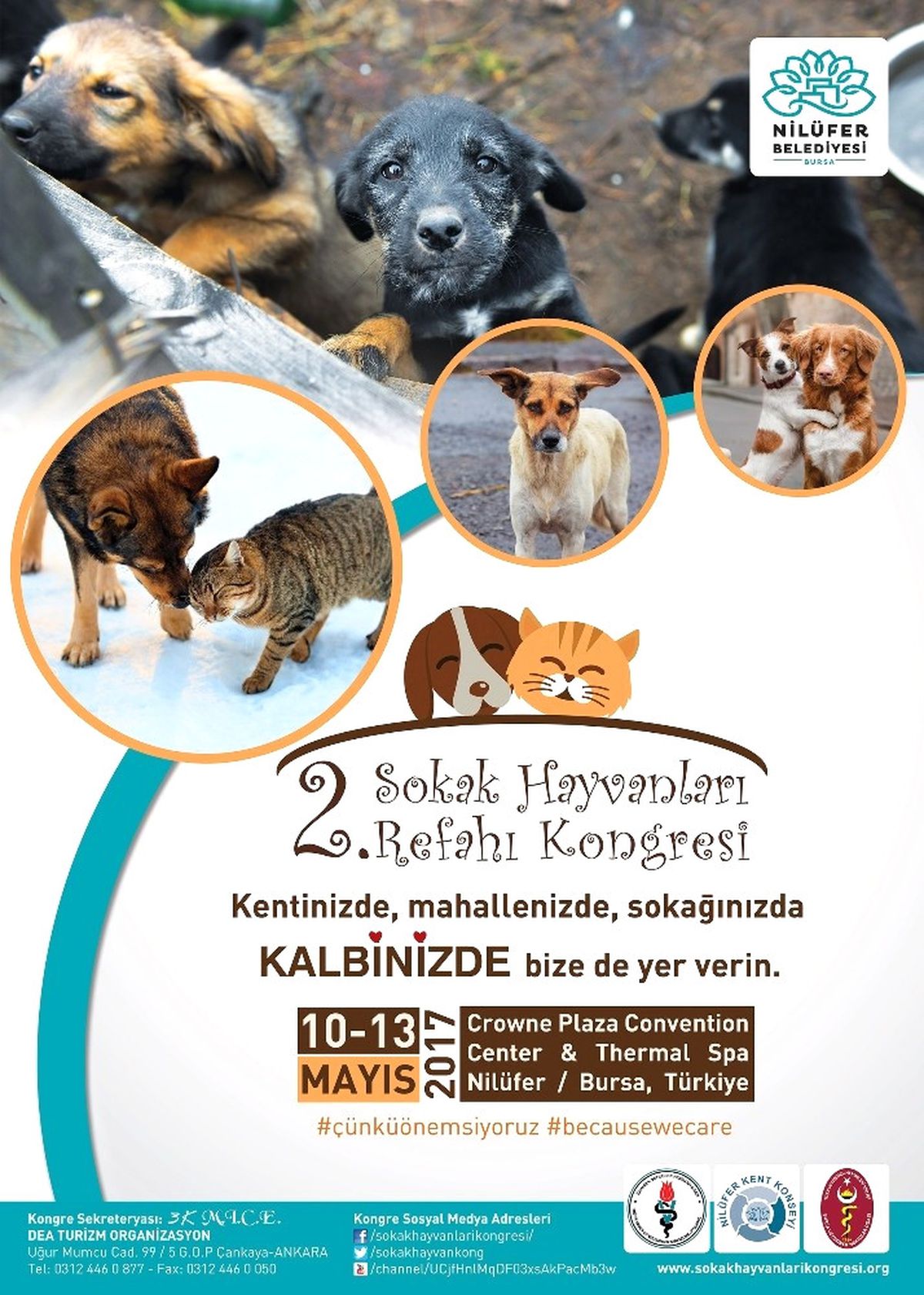 Sokak Hayvanları Refahı Kongresi Nilüfer\'de Yapılacak