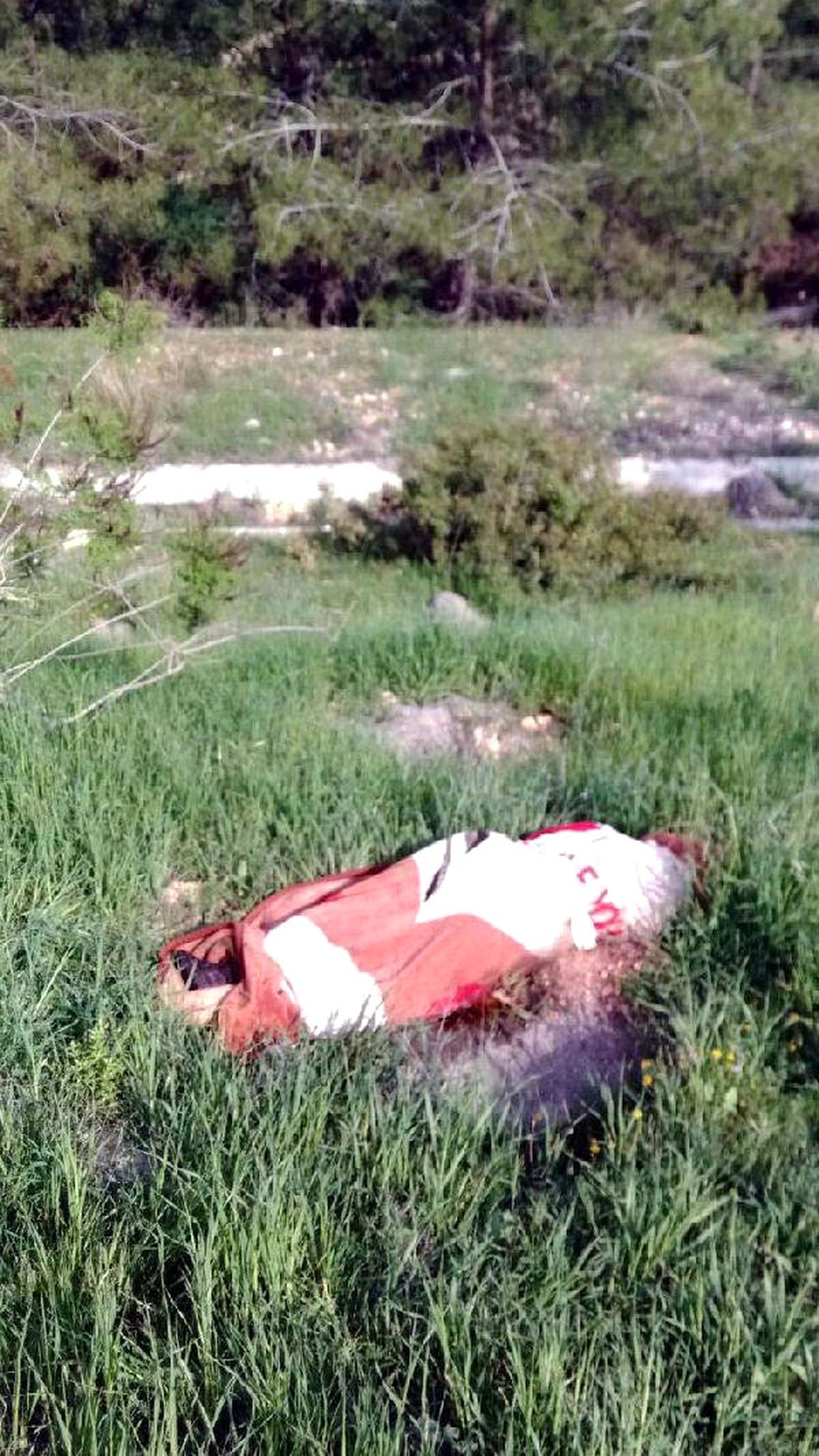 Suriyelinin Katili Suriyeli Çıktı