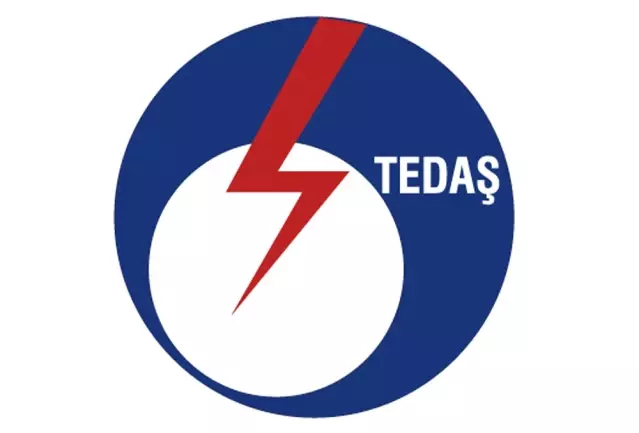 tedas ve temsan ozellestirme
