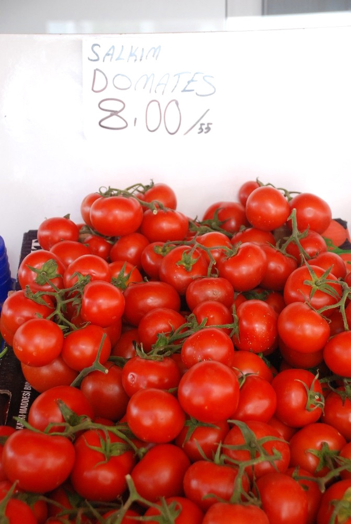 Tokat\'ta Domates Ekim Sahası Yüzde 30 Oranında Azaldı