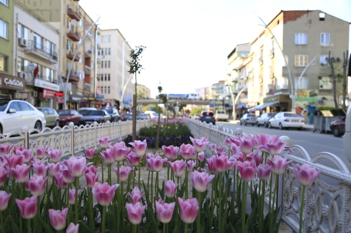 Uşak\'ta Yollar Çiçek Açtı