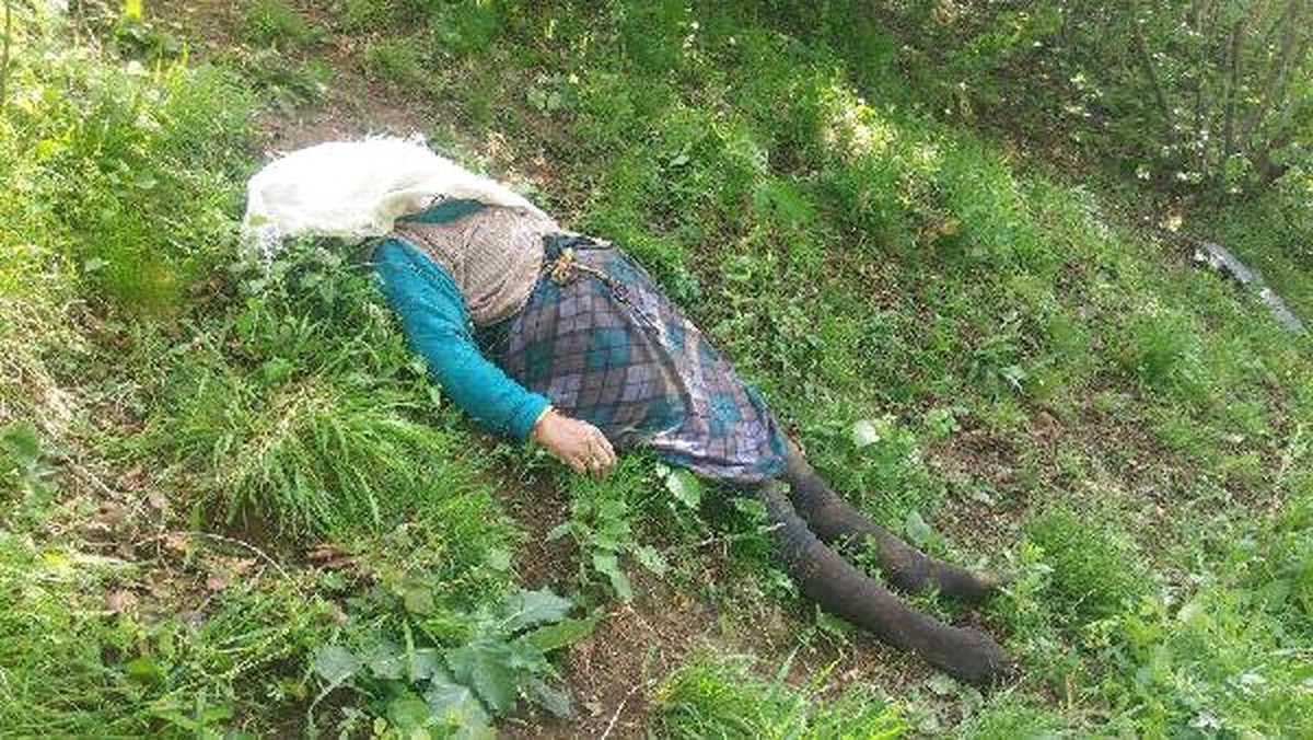 Yayla Yolunda Feci Kaza: 4 Ölü, 3 Yaralı
