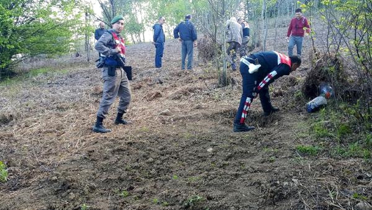 Zonguldak\'ta 250 Kök Hintkeneviri Ele Geçirildi