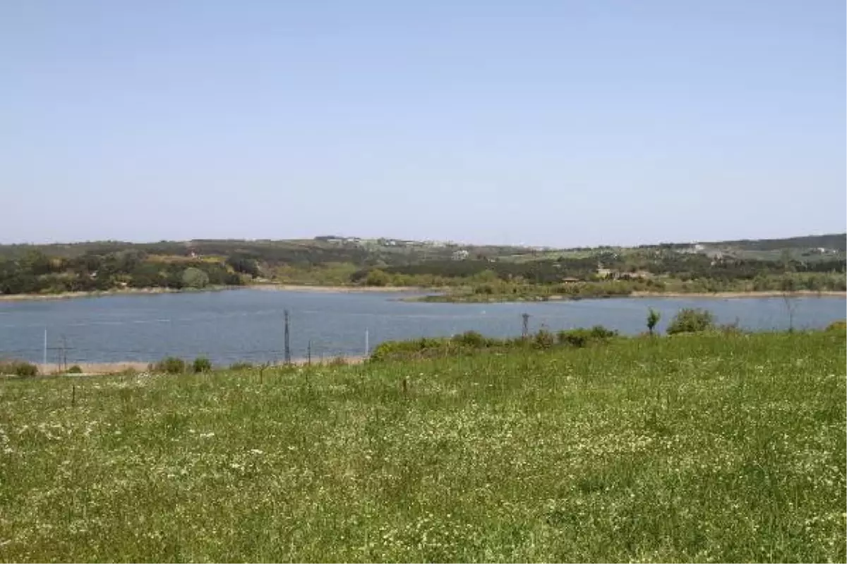 Arnavutköy Ekolojik Koridor Projesi ile Doğayı Koruyor