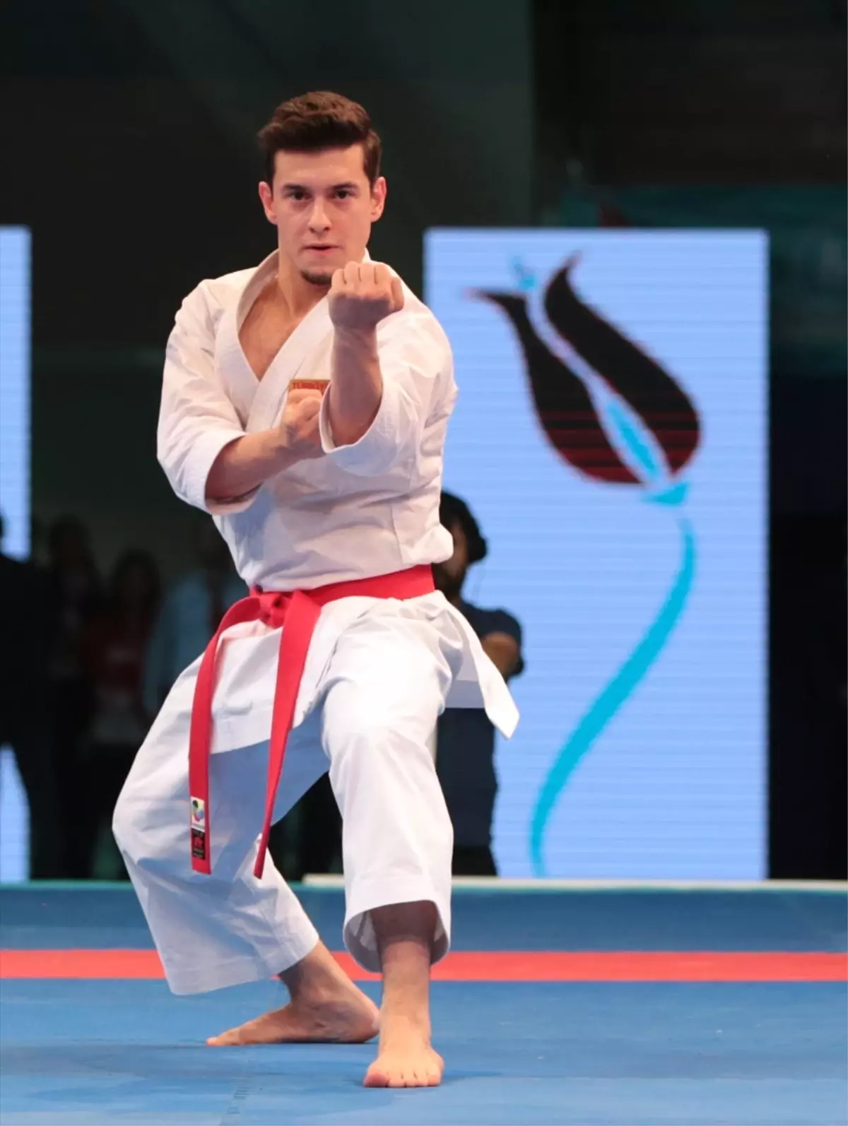 Avrupa Karate Şampiyonası