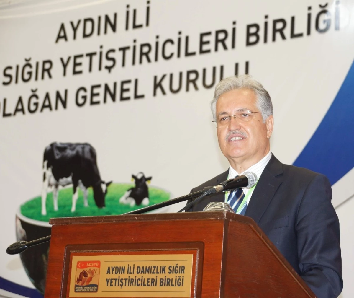 Aydın\'da Damızlık Sığır Yetiştiricileri Birliğinin Genel Kurulu Yapıldı