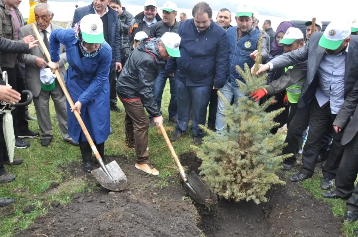 Kars\'ta 15 Temmuz Hatıra Ormanı Oluşturuldu