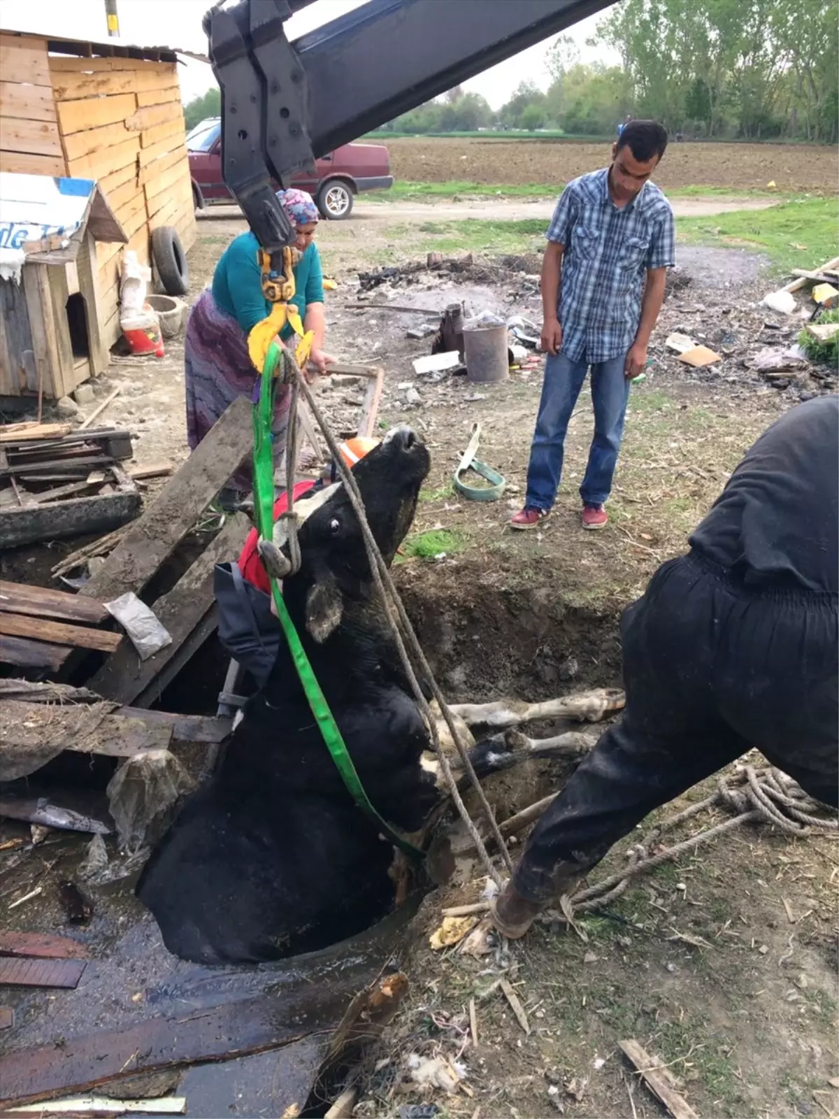 Kuyuya Düşen İnek Kurtarıldı