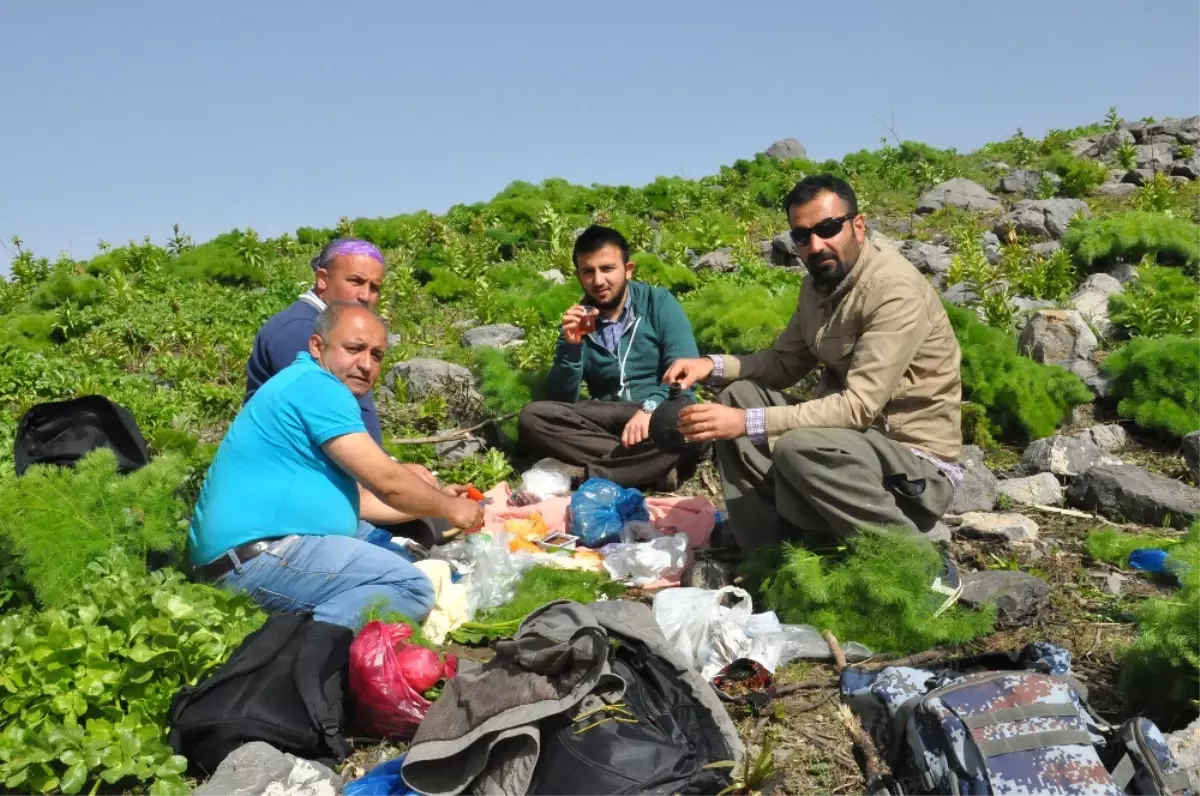 Silah Değil Kahkaha Sesleri Duyuluyor