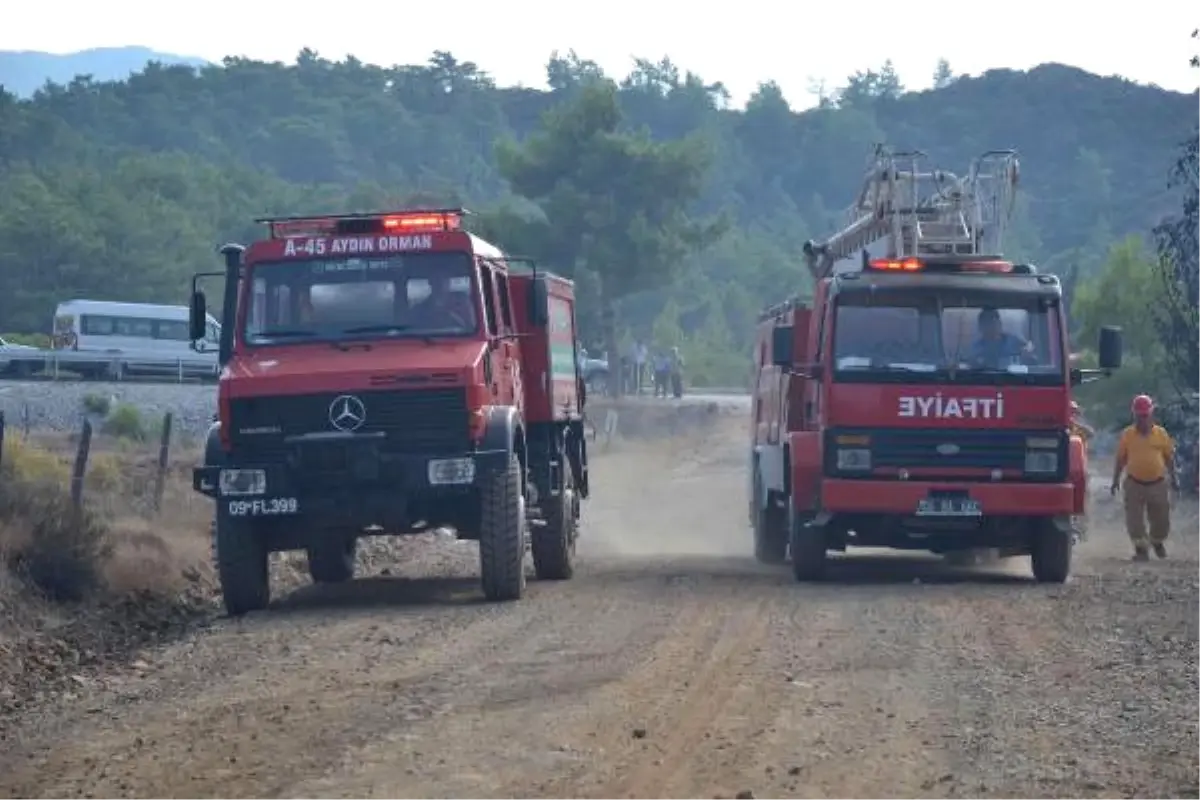 Yıldırımdan Orman Yangını Çıktı