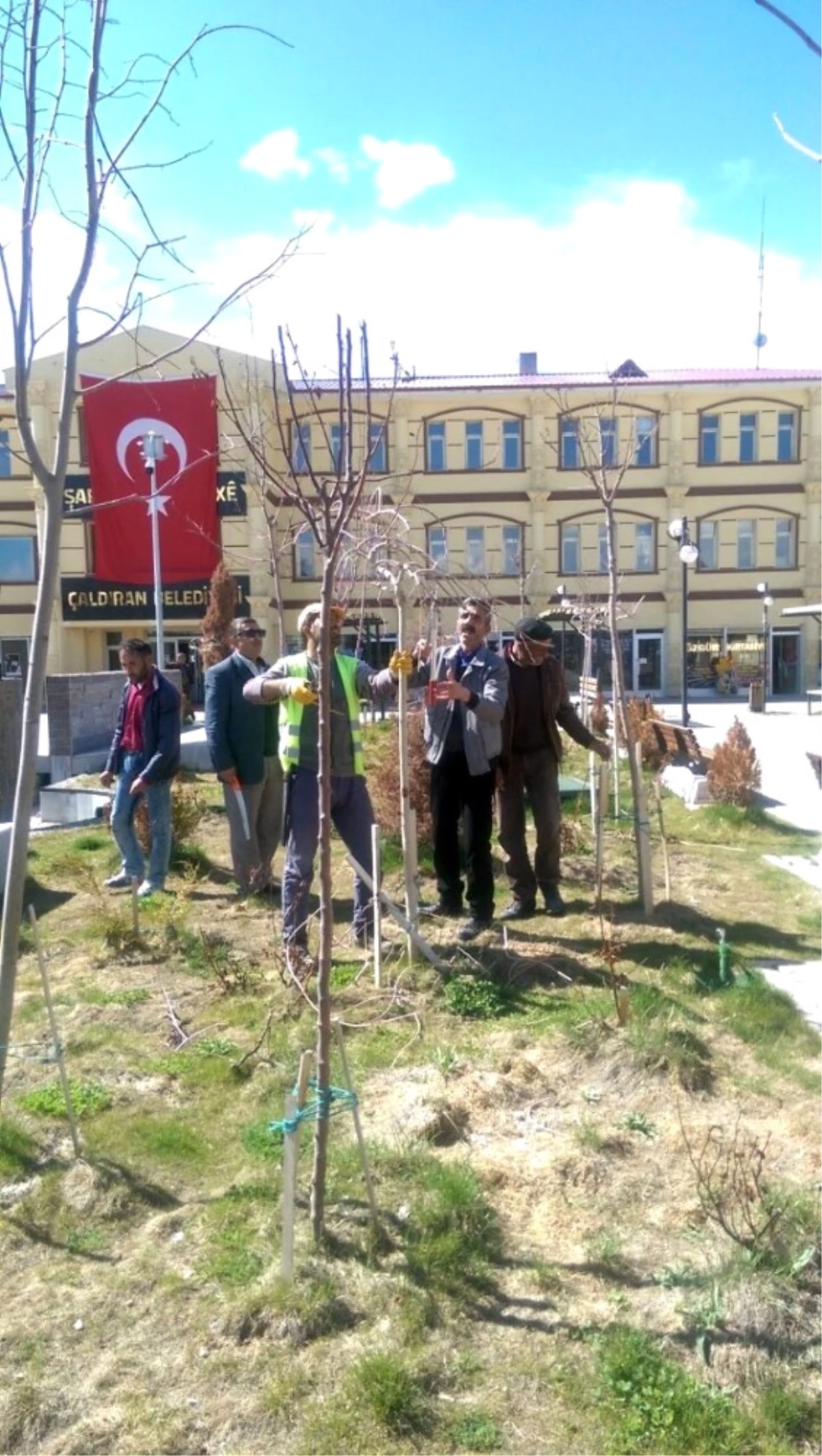 Belediye Çalışanlarına Ağaç Budama Eğitimi