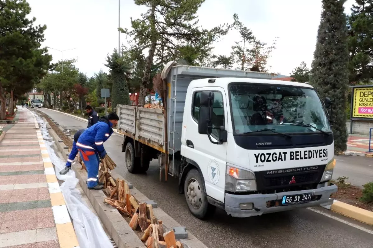 Bin Testi ile Kebap Rekor Denemesine Olumsuz Hava Engeli