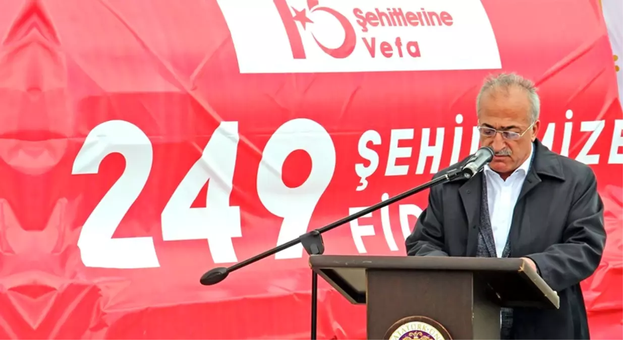 249 Şehide 249 Fidan