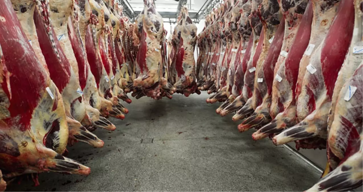 Belçika\'da Helal ve Koşer Et Kesimi Yasaklandı