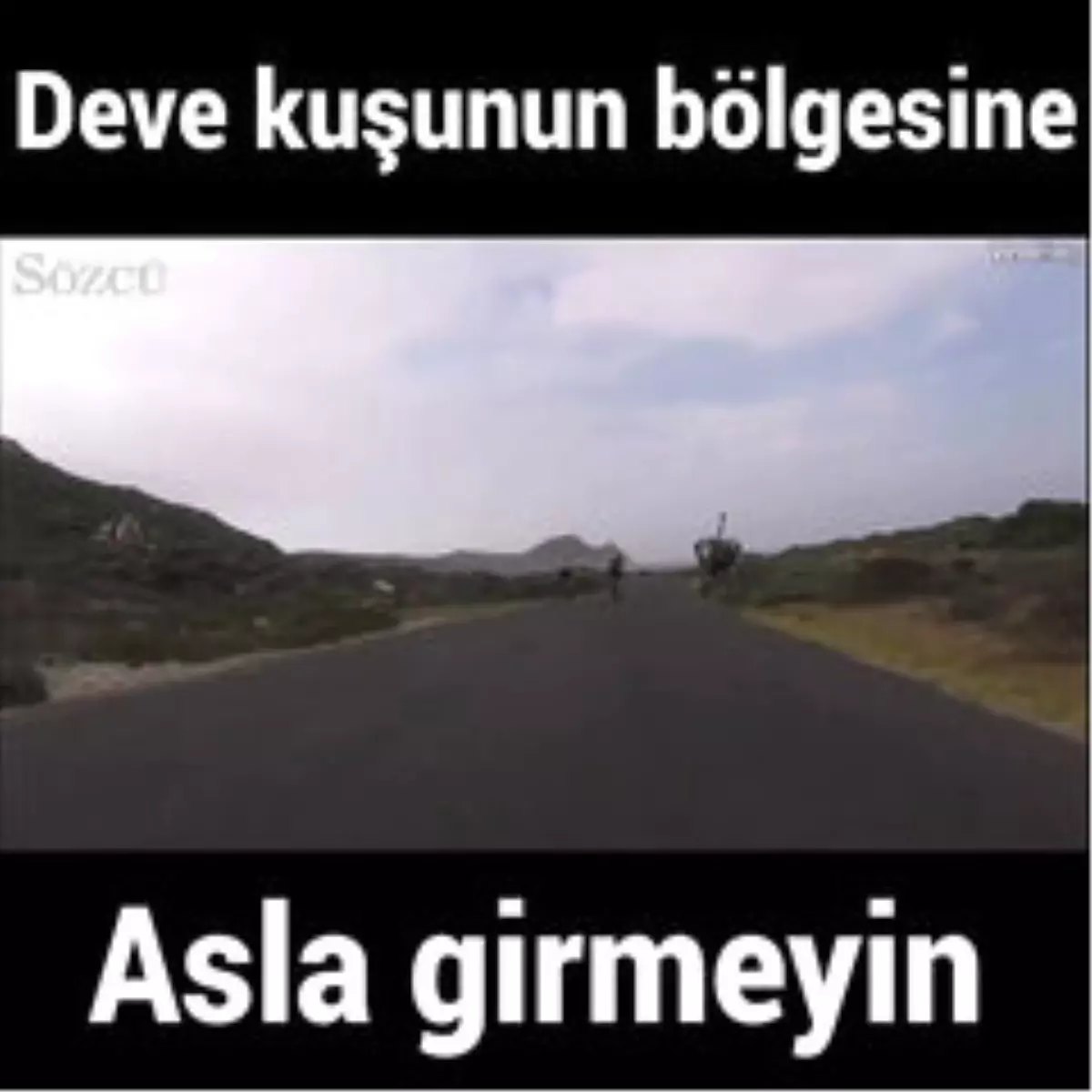 Deve Kuşunu Kızdıran Bisikletçiler