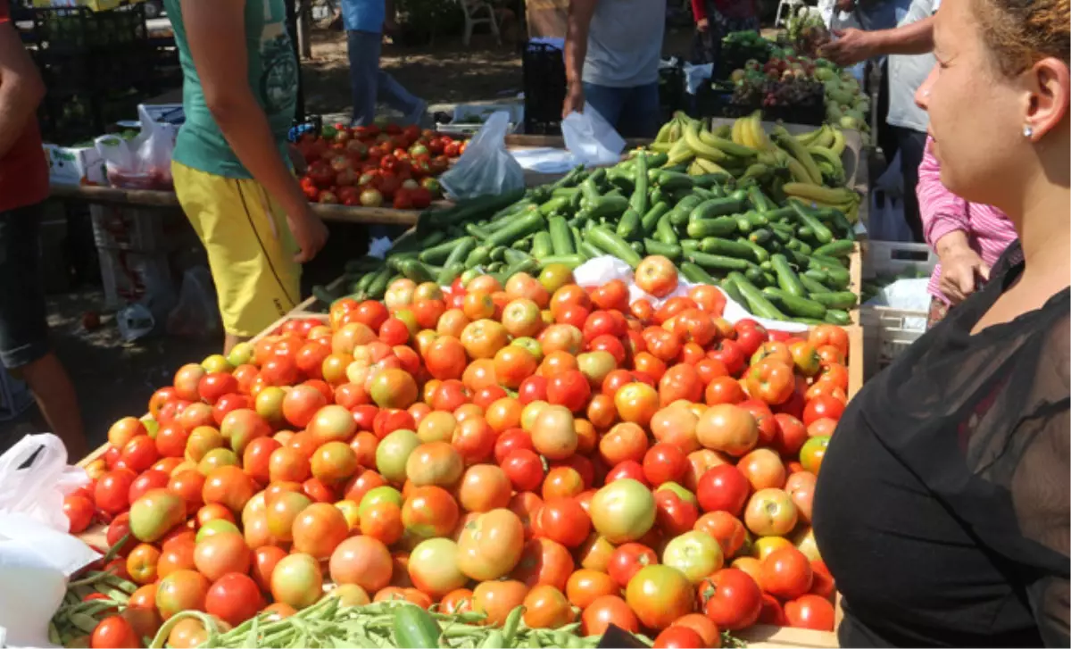 Domatesin Ateşi Düşüyor