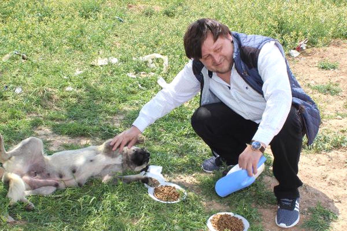 Hayvansever Pazarlamacının Örnek Davranışı