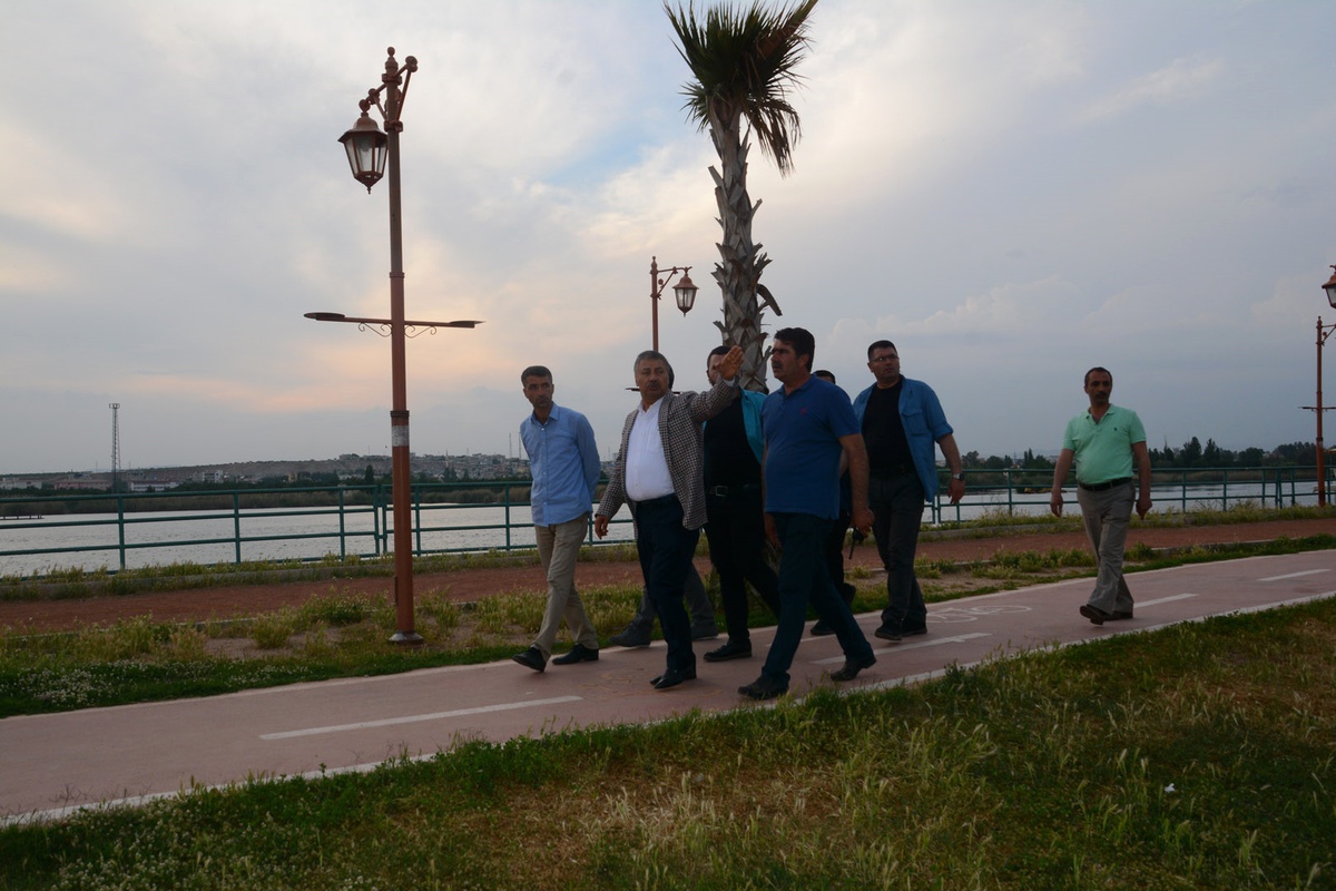 Şehir magandaları Birecik\'te ağaçları yaktı