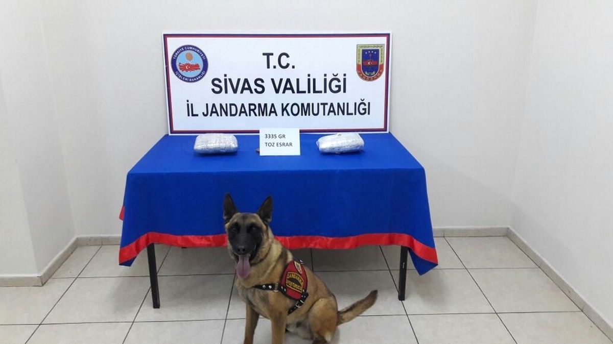 Sivas\'ta 3 Kilo Esrar Ele Geçirildi