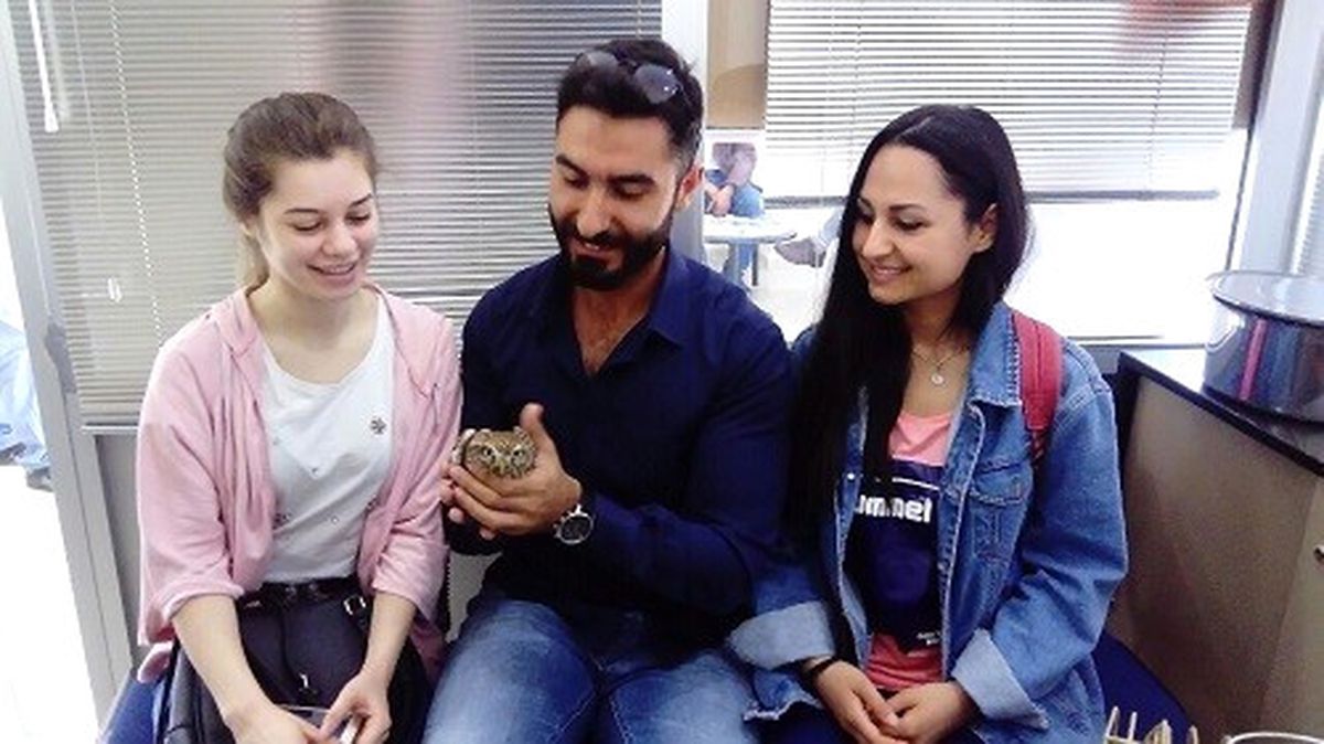 Yaralı Baykuşa Devlet Sahip Çıktı