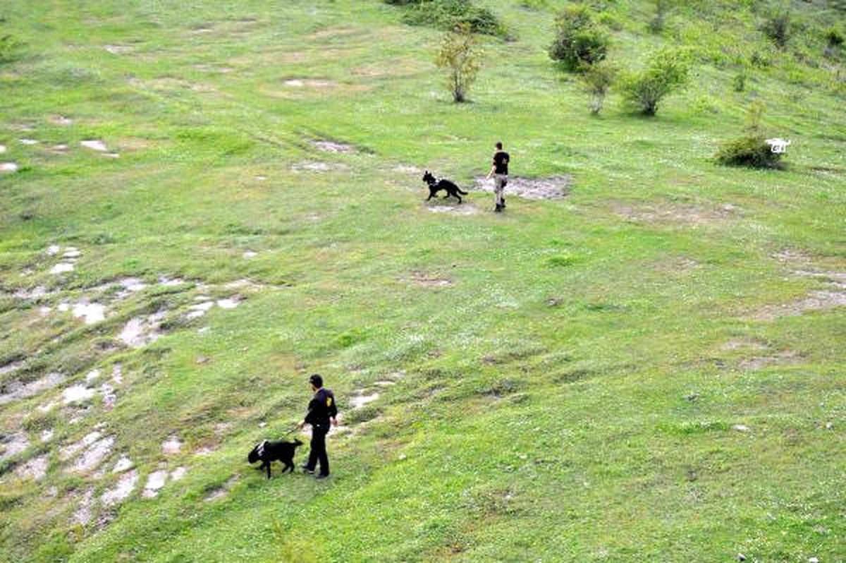 Zonguldak\'ta \'Drone\'lu, Köpekli Uyuşturucu Araması