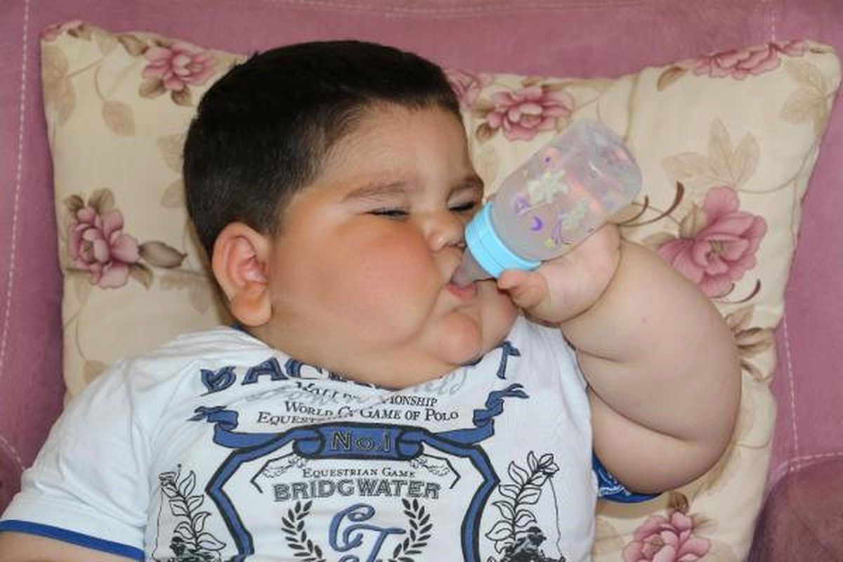 1.5 Yaşındaki Yağız, 32 Kilo