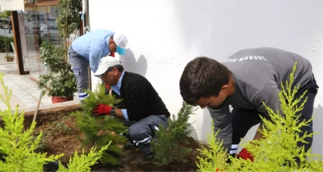 Artvin\'de 8 Bin Çiçek Toprakla Buluşacak