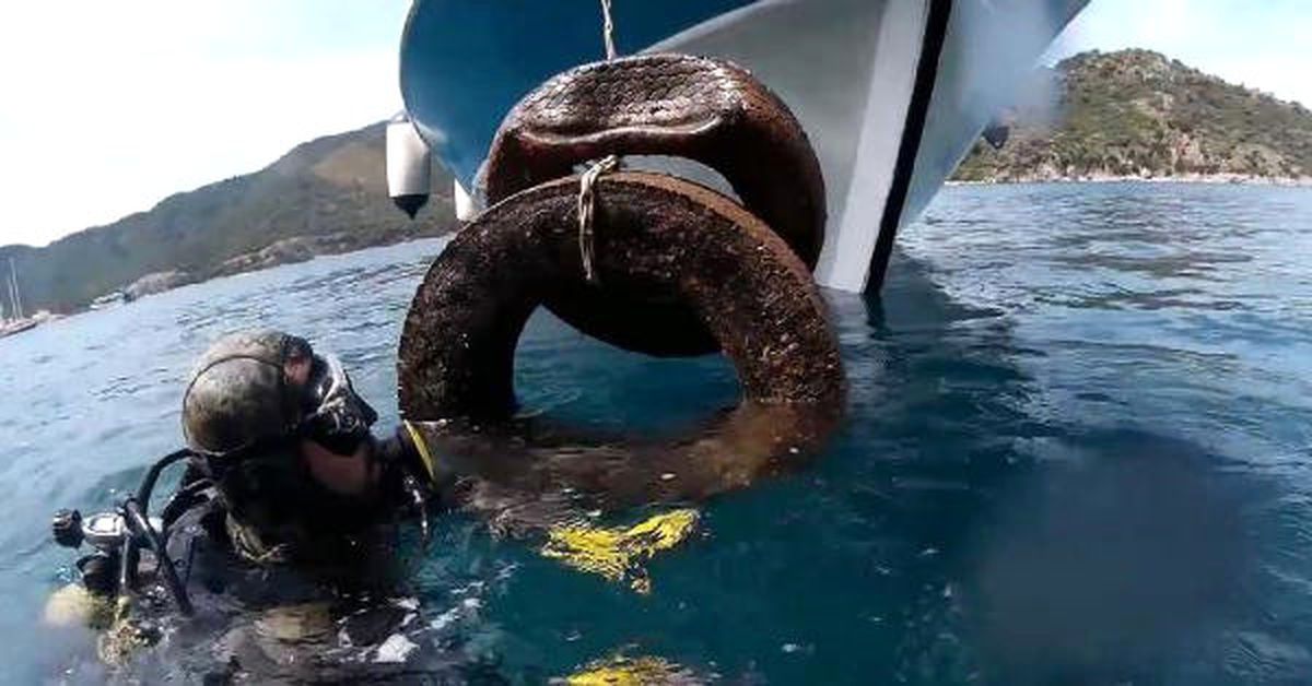 Deniz Dibinden Çıkanlar Şaşırttı