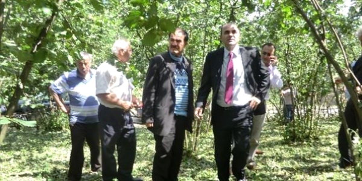 Düzce\'de Dolu Yağışı