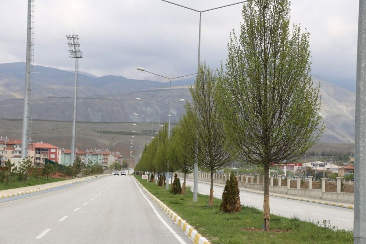 Erzincan\'da Ağaçlandırma Çalışması