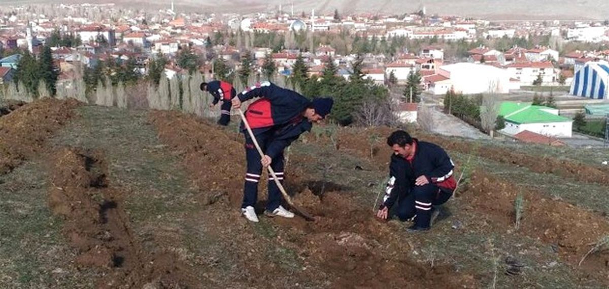 Kütahya\'da 4 Bin Fidan Toprakla Buluşturuldu