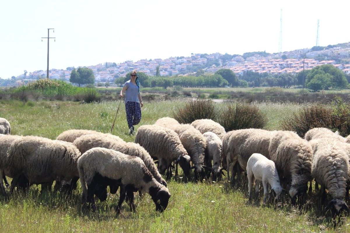 Sertifikalı Modern Kadın Çoban