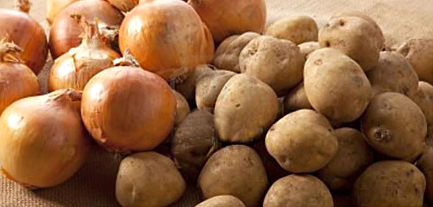 Patates ve Soğan Üreticisi Yeni Sezondan Ümitli