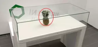 Şaka İçin Sergiye Bırakılan Ananas, Sanat Eseri Diye Cam Vitrine Alındı