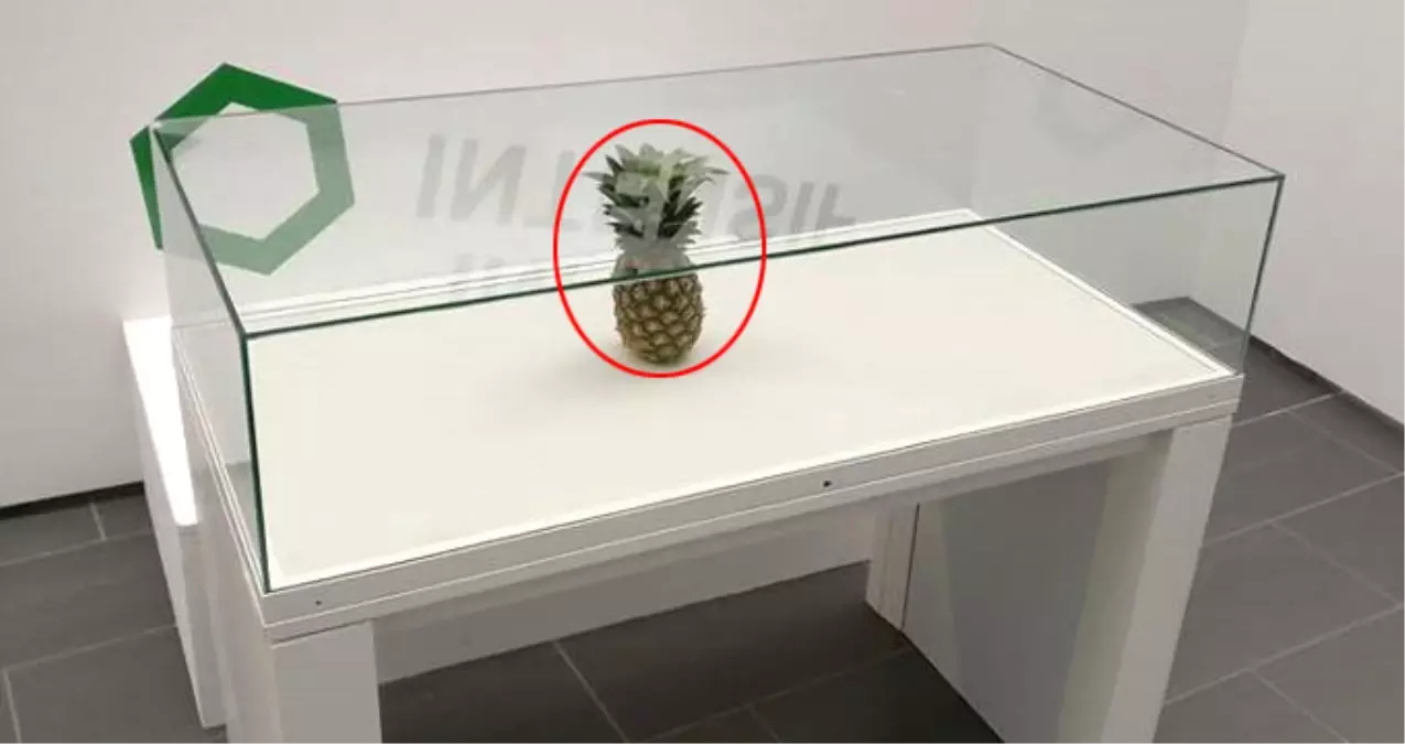 Şaka İçin Sergiye Bırakılan Ananas, Sanat Eseri Diye Cam Vitrine Alındı