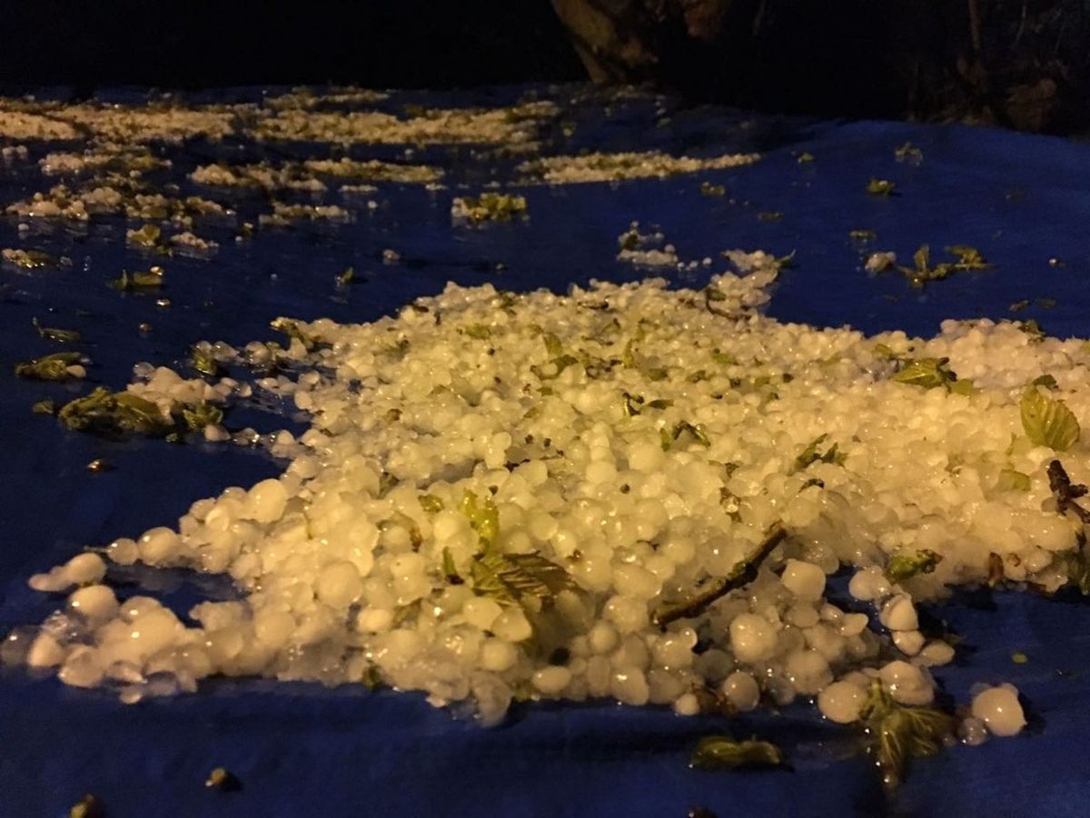 Sinop\'ta Dolu Yağışı