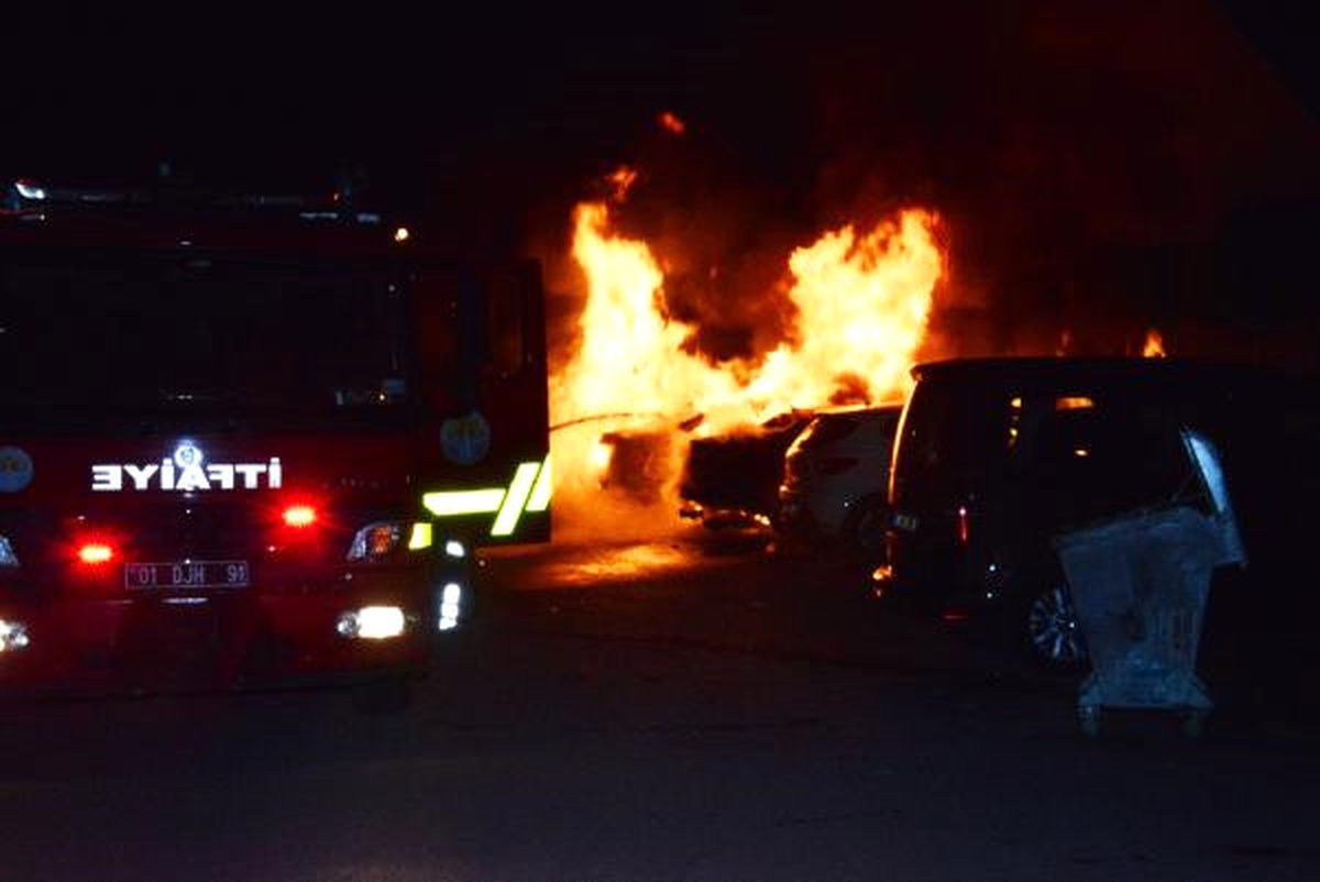 Şizofren Genç, Komşularının Otomobillerini Kundakladı
