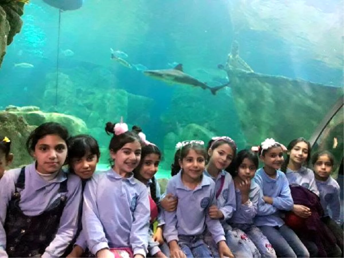 Suriyeli Yetim 80 Çocuğun Aqua Park Akvaryum Sevinci