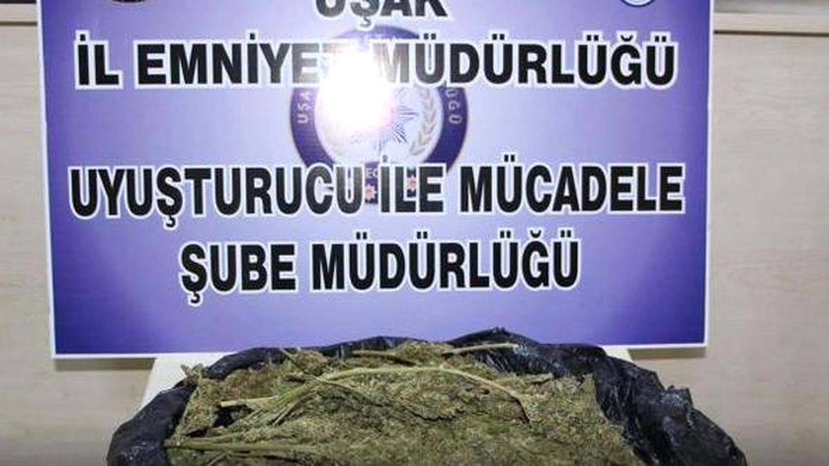 Uşak\'ta 4 Ayda 103 Uyuşturucu Operasyonu Gerçekleştirildi