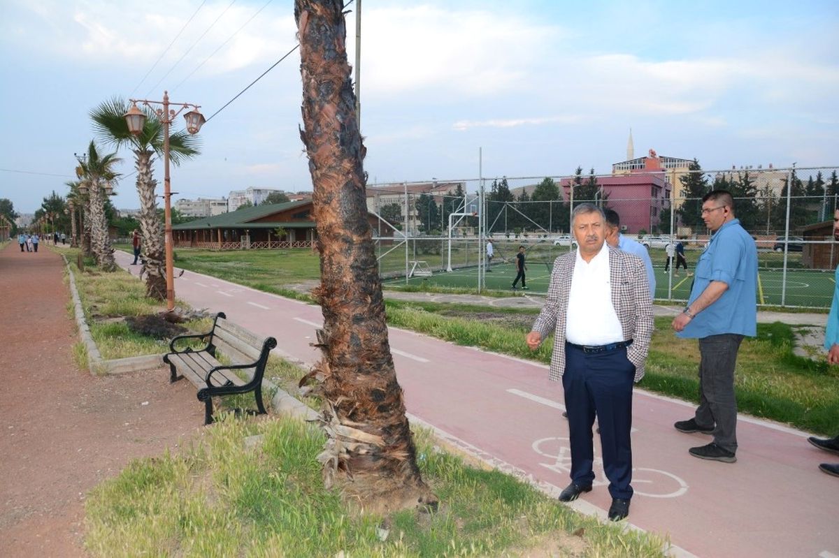 91 Adet Ağacı Yok Ettiler