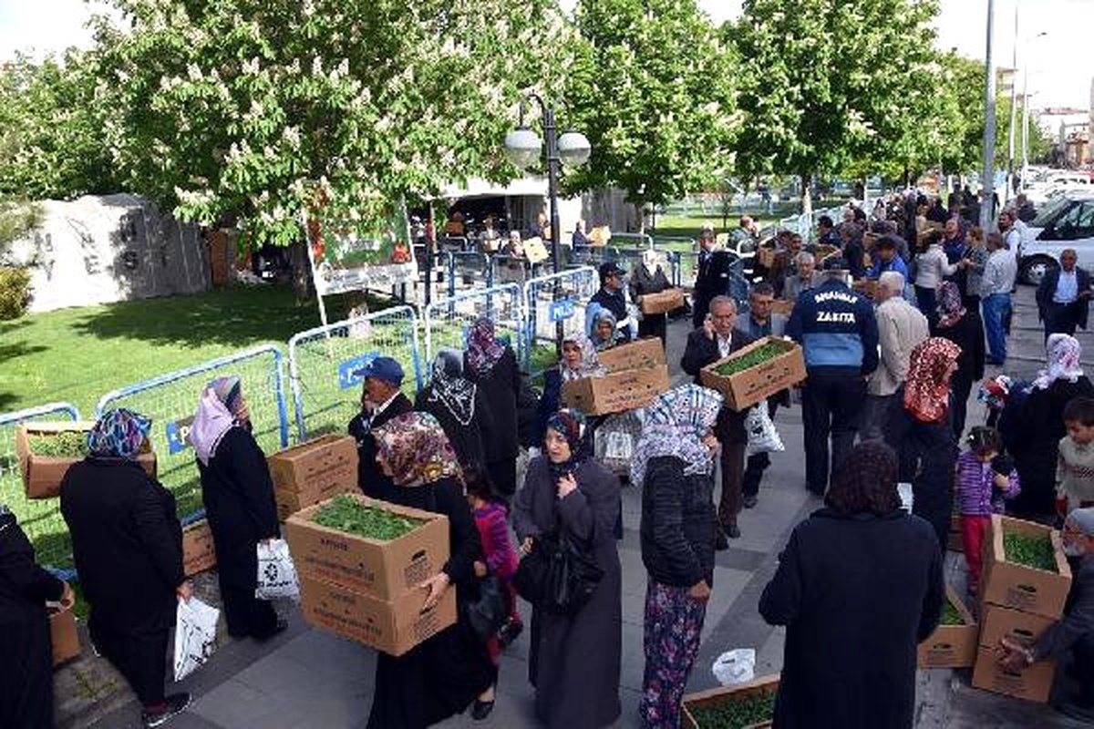Bedava Domates Fidesi Dağıtımında İzdiham