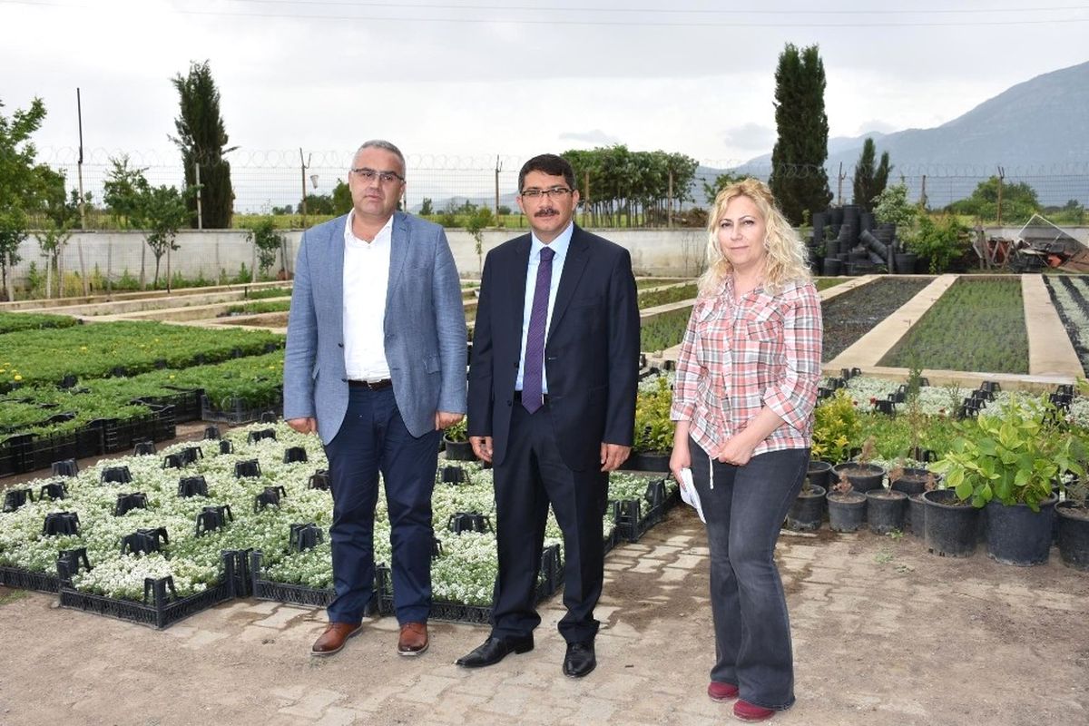Kendi Çiçeklerini Yetiştirip İlçeyi Renklendiriyorlar