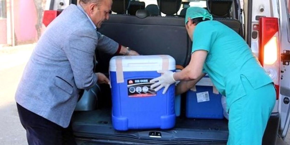 Kocaeli\'de Böbrek Nakli